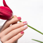Pink nail design. Female hand with pink manicure holding tulip flower
