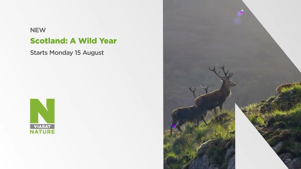 Video preview: Skotsko: Rok v divočině na Viasat Nature