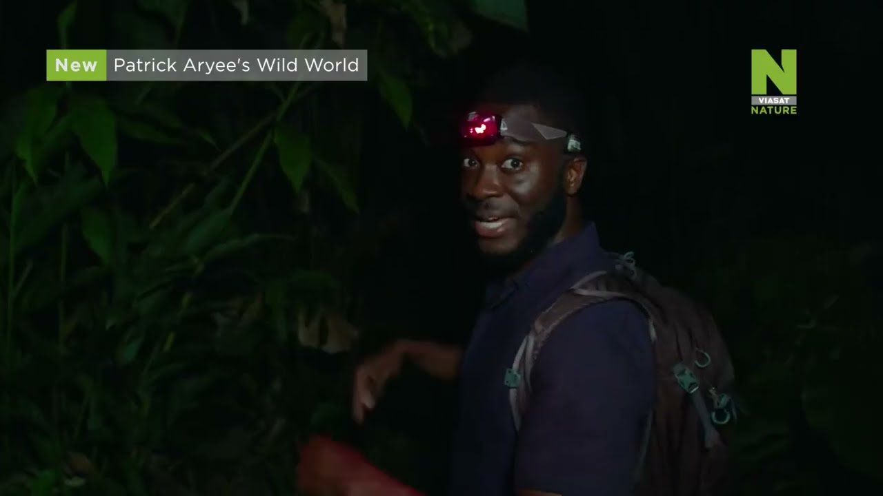 Video preview: Divočina Patricka Aryeeho na Viasat Nature
